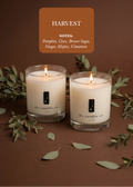 "Pie for Two" Harvest Luxury 2-Wick Soy Candle Set